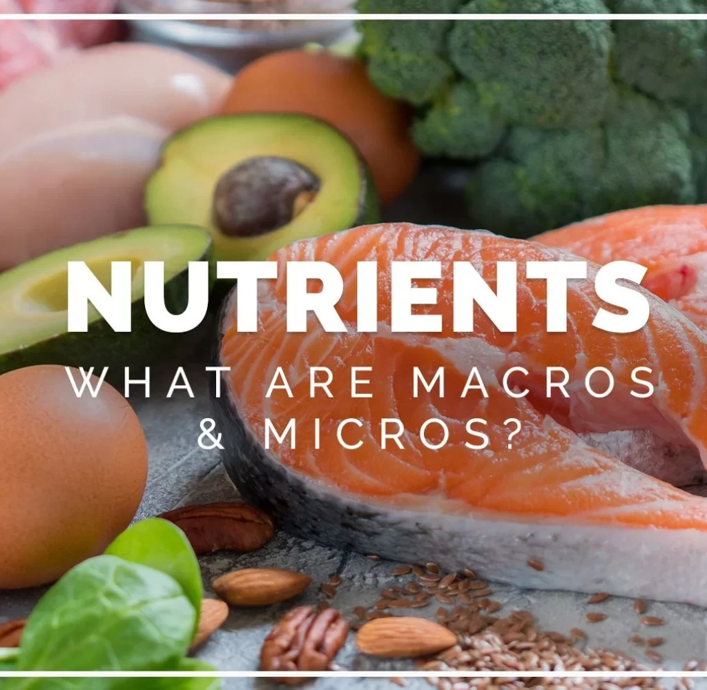 Blog_Website_-_Nutrients